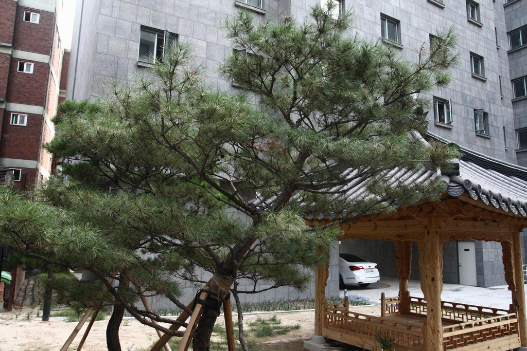 Fortune Hostel Jongno Seoul Exterior photo